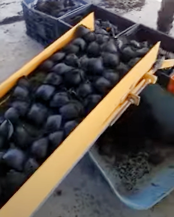 Complete Briquette Line thumbnail 3