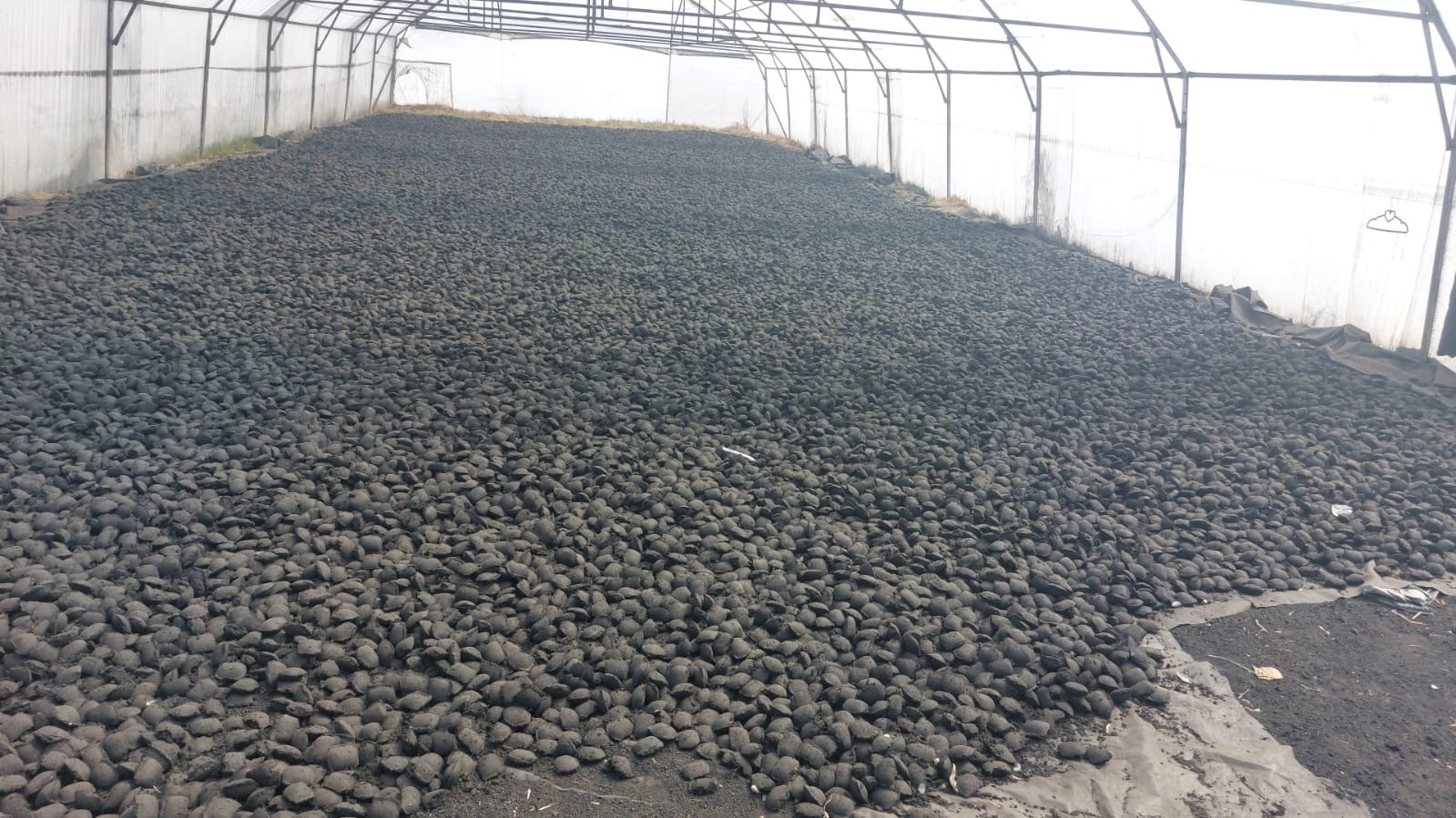 Complete Briquette Line thumbnail 9