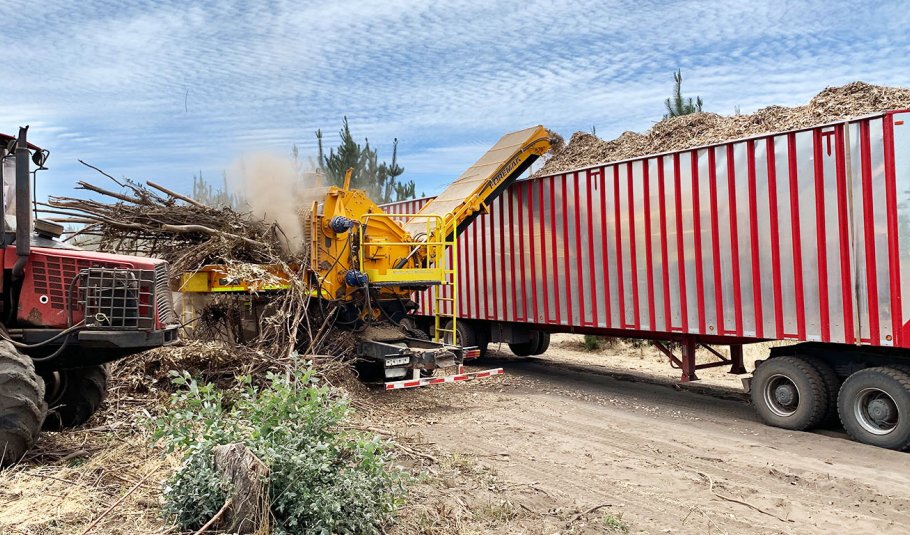 Lippel Dragon 1200 Whole-Tree Chipper – 600 HP thumbnail 5