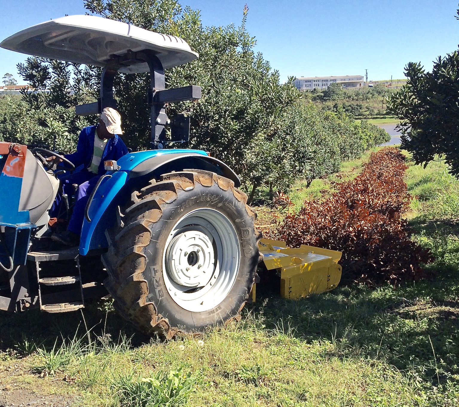 Forestry Mulcher - Skid Steer thumbnail 5