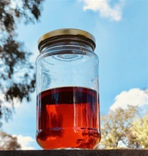 Plant Growth Enhancers – Biochar, Wood Vinegar and Organic Soil Treatments