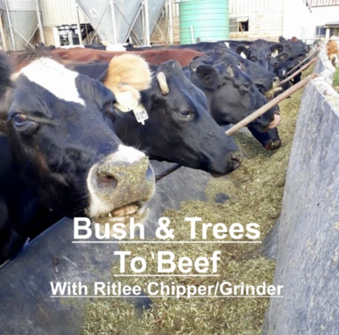 Bush Feed reading page with all info thumbnail 2